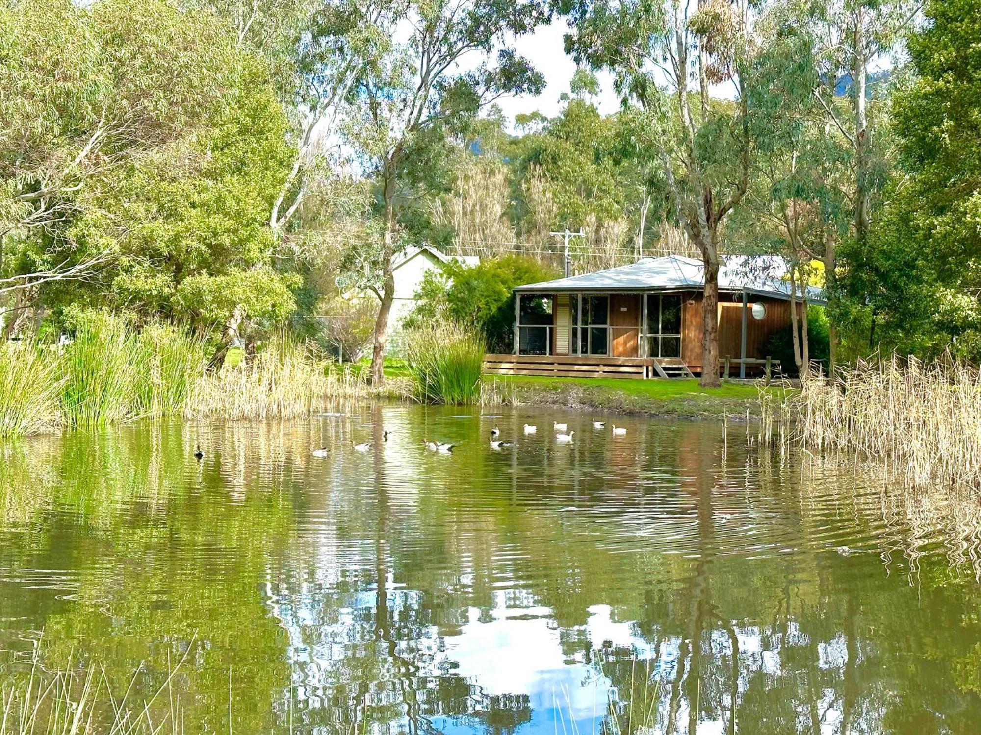 Grampians Chalets Холс Гап Екстериор снимка